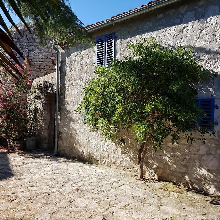 Вилла The Istrian Врсар Экстерьер фото