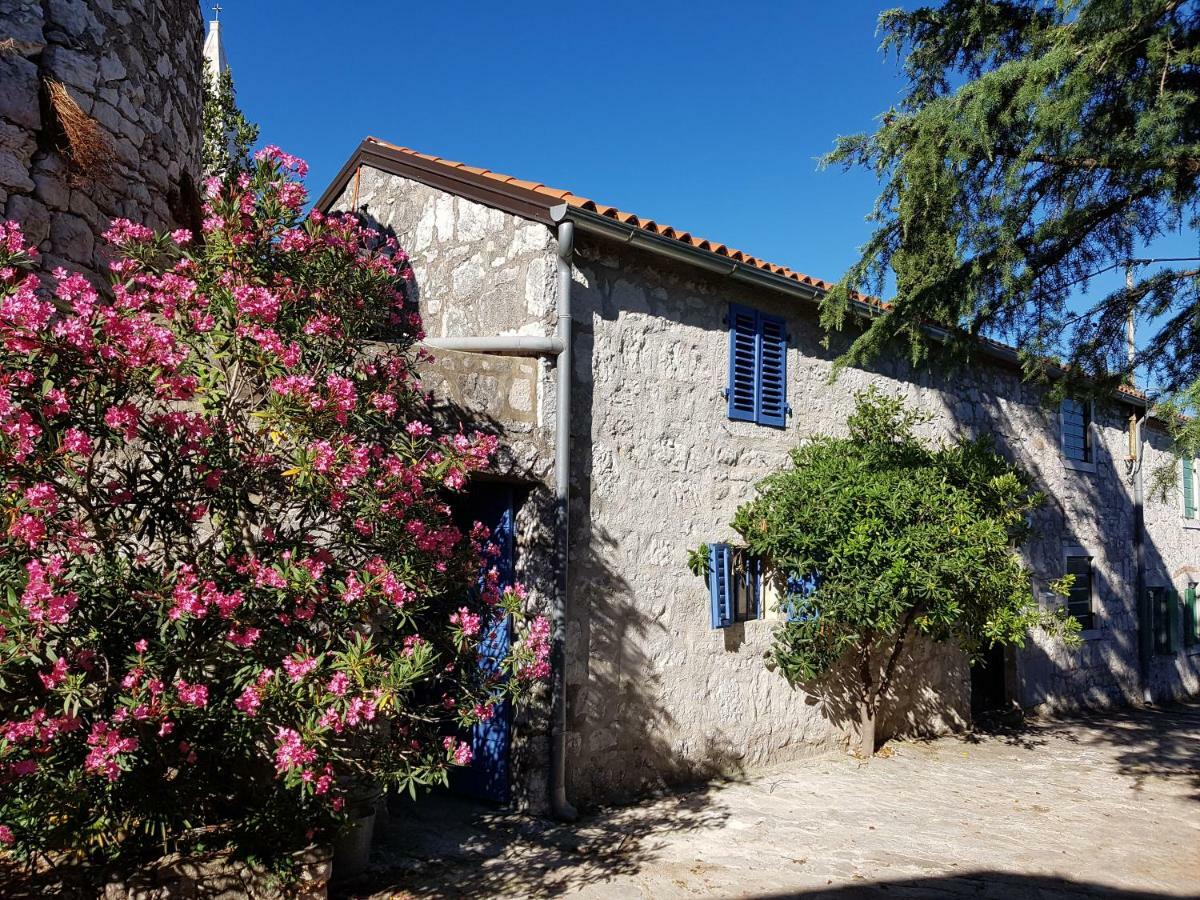 Вилла The Istrian Врсар Экстерьер фото