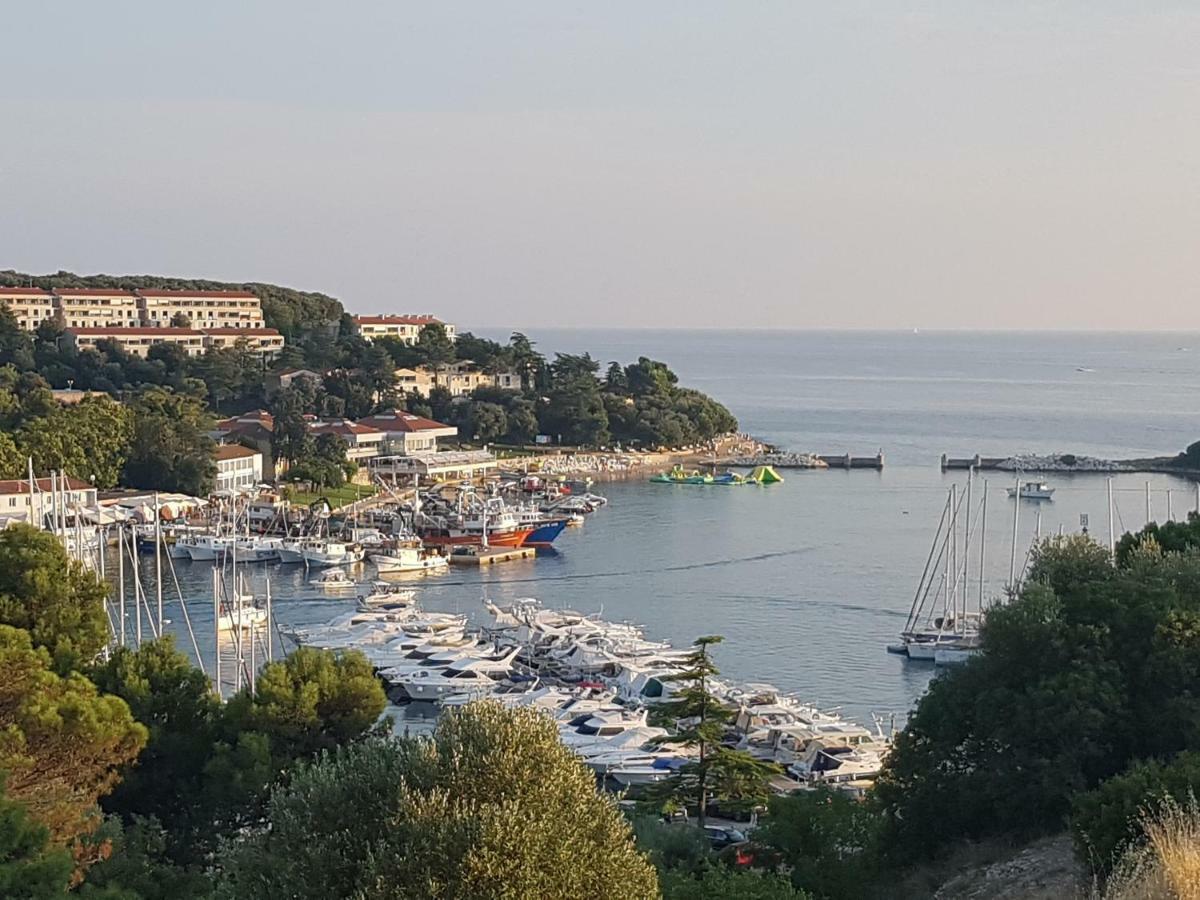 Вилла The Istrian Врсар Экстерьер фото